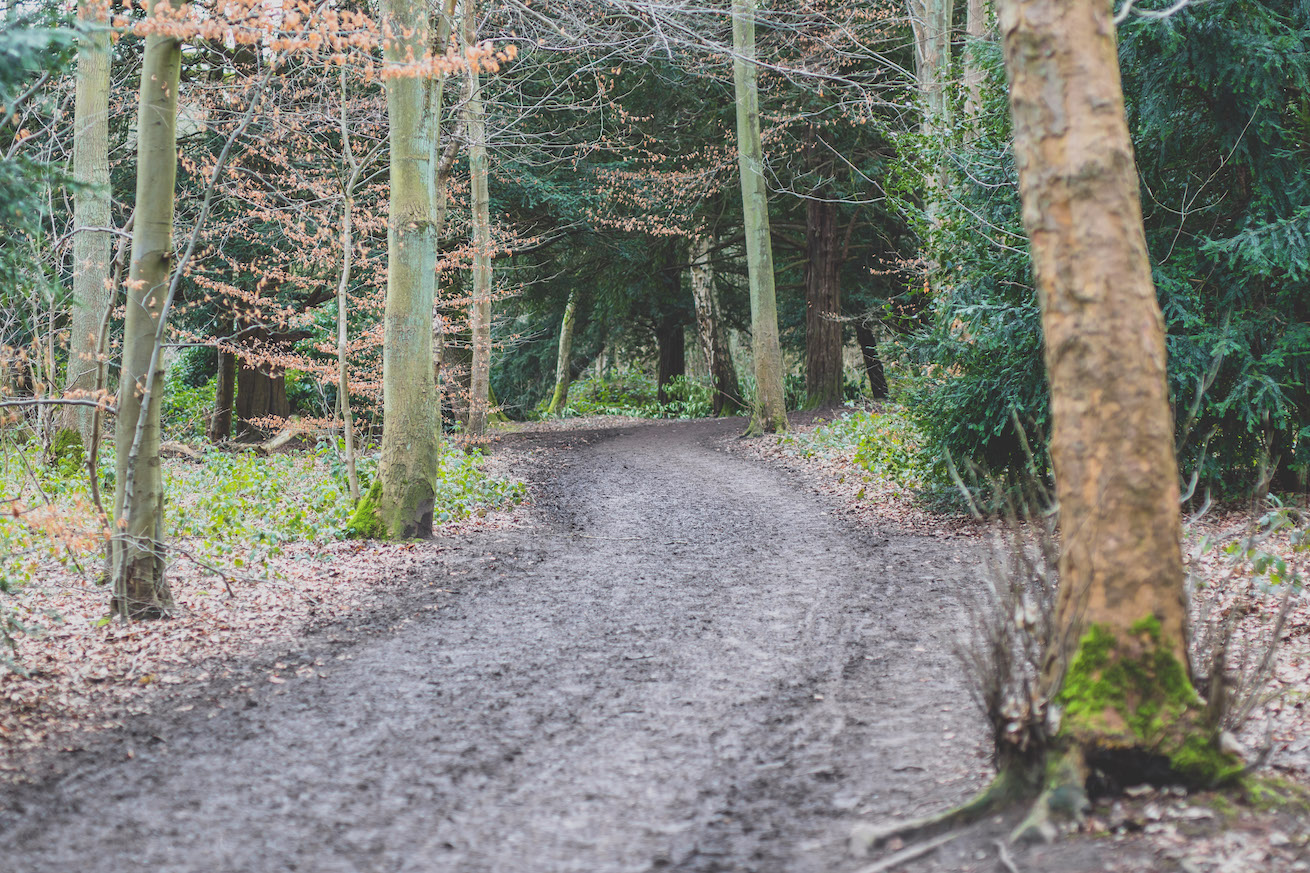 The Path Ahead