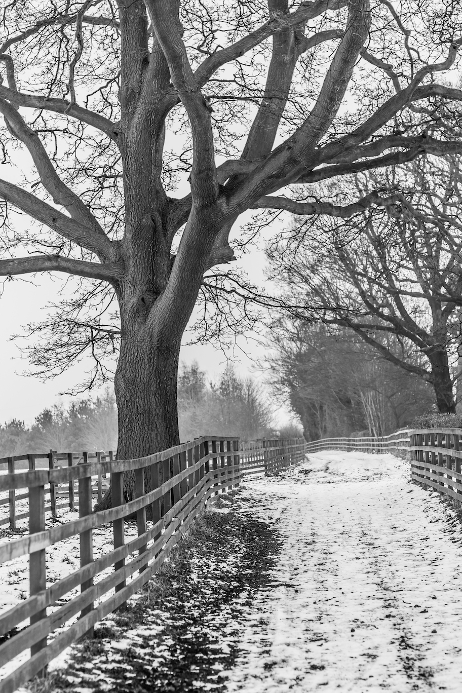 The Sheltered Journey